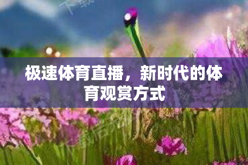 极速体育直播，新时代的体育观赏方式