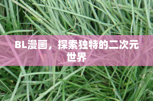 BL漫画，探索独特的二次元世界