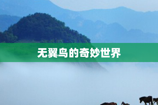 无翼鸟的奇妙世界