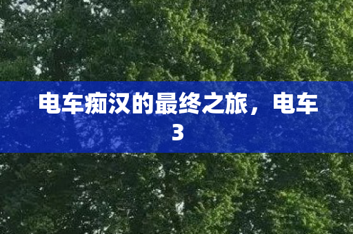 电车痴汉的最终之旅，电车3