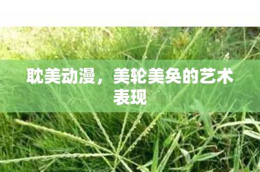 耽美动漫，美轮美奂的艺术表现