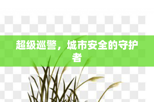 超级巡警,城市安全的守护者 超级巡警,城市安全的守护者