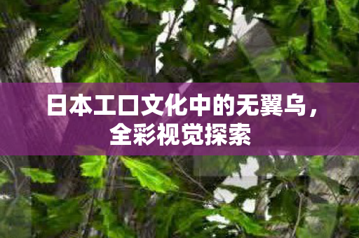 日本工口文化中的无翼乌，全彩视觉探索