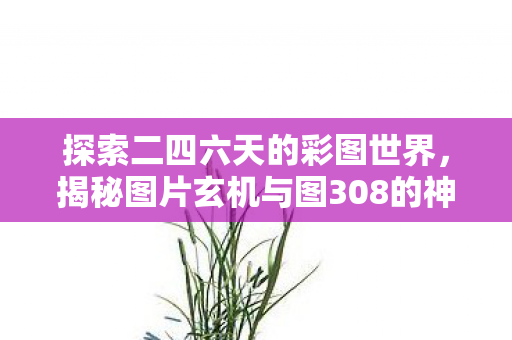 探索二四六天的彩图世界,揭秘图片玄机与图308的神秘面纱 探索二四六天的彩图世界,揭秘图片玄机与图308的神秘面纱