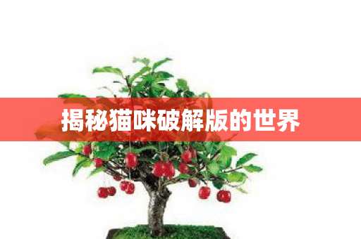 揭秘猫咪破解版的世界 揭秘猫咪破解版的世界