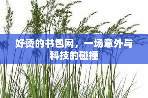 好烫的书包网，一场意外与科技的碰撞