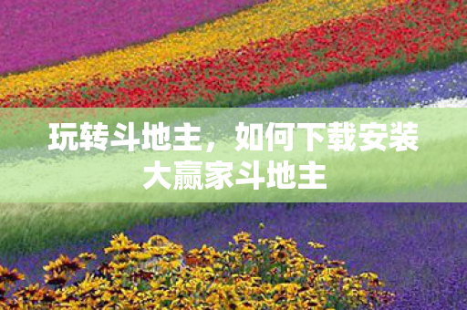 玩转斗地主，如何下载安装大赢家斗地主