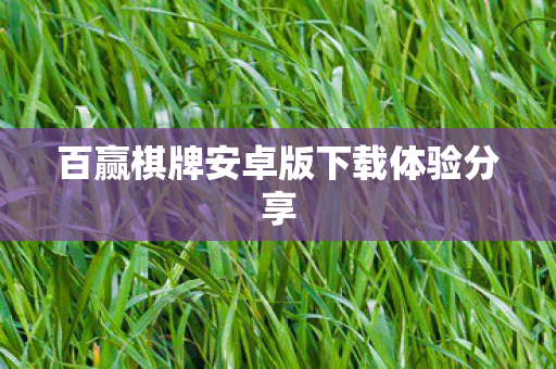 百赢棋牌安卓版下载体验分享