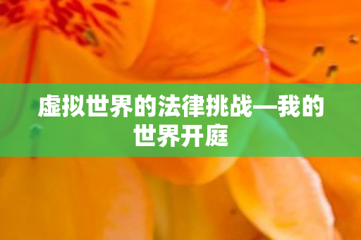 虚拟世界的法律挑战—我的世界开庭