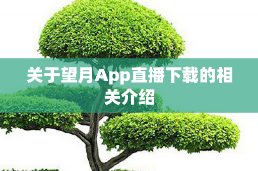 关于望月App直播下载的相关介绍