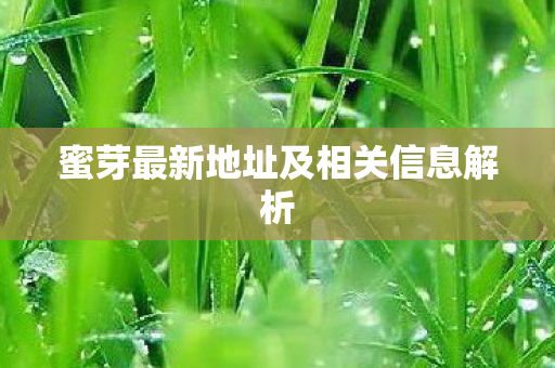 蜜芽最新地址及相关信息解析