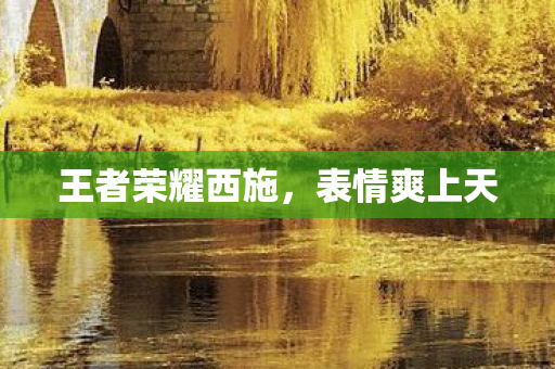 王者荣耀西施,表情爽上天 王者荣耀西施,表情爽上天