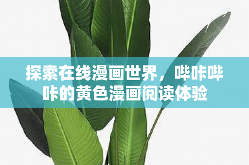 探索在线漫画世界，哔咔哔咔的黄色漫画阅读体验