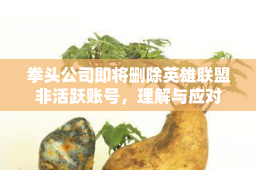 拳头公司即将删除英雄联盟非活跃账号，理解与应对