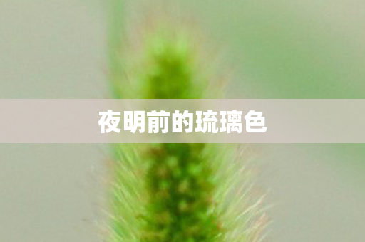 夜明前的琉璃色