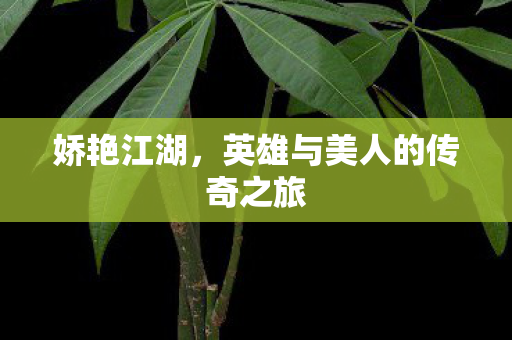 娇艳江湖，英雄与美人的传奇之旅