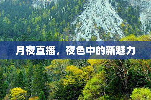 月夜直播,夜色中的新魅力 月夜直播,夜色中的新魅力