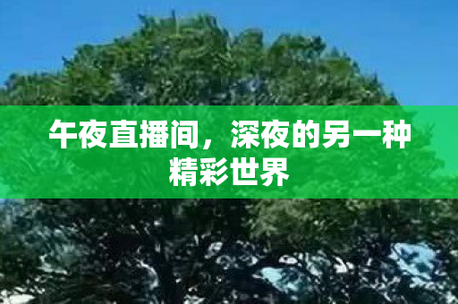午夜直播间，深夜的另一种精彩世界