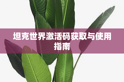 坦克世界激活码获取与使用指南
