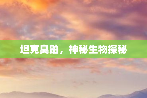 坦克臭鼬，神秘生物探秘