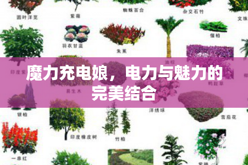 魔力充电娘，电力与魅力的完美结合