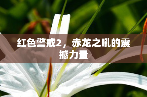 红色警戒2，赤龙之吼的震撼力量