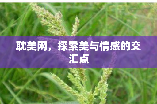 耽美网，探索美与情感的交汇点