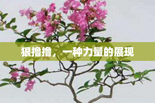 狠撸撸,一种力量的展现 狠撸撸,一种力量的展现