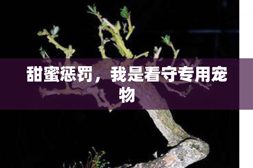 甜蜜惩罚，我是看守专用宠物
