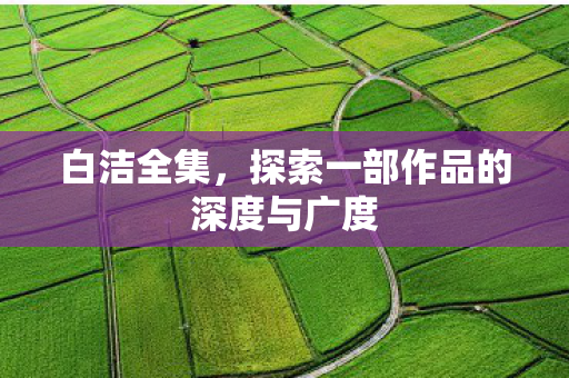 白洁全集，探索一部作品的深度与广度
