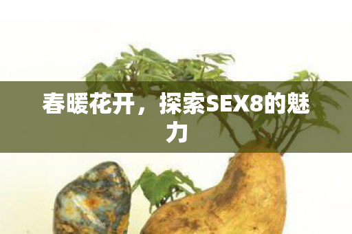 春暖花开，探索SEX8的魅力
