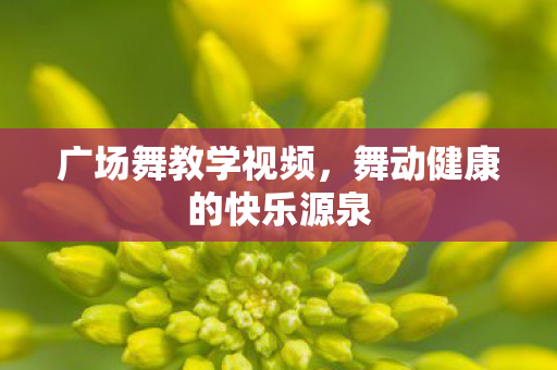 广场舞教学视频，舞动健康的快乐源泉