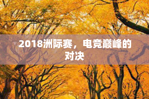 2018洲际赛,电竞巅峰的对决 2018洲际赛,电竞巅峰的对决