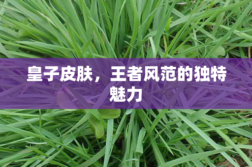 皇子皮肤，王者风范的独特魅力