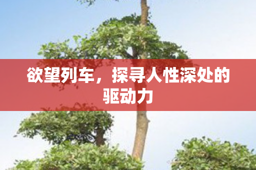 欲望列车，探寻人性深处的驱动力