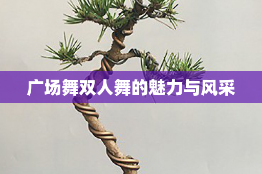 广场舞双人舞的魅力与风采