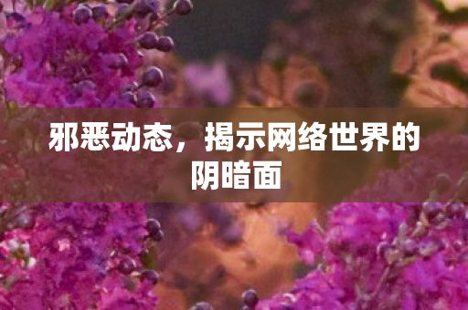 邪恶动态，揭示网络世界的阴暗面