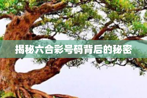 揭秘六合彩号码背后的秘密 揭秘六合彩号码背后的秘密