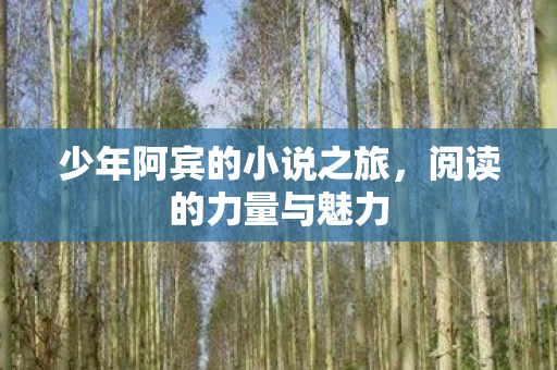 少年阿宾的小说之旅，阅读的力量与魅力