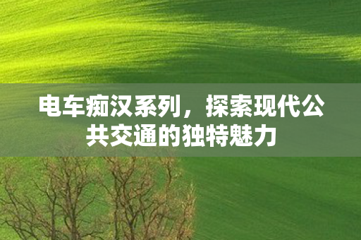 电车痴汉系列，探索现代公共交通的独特魅力