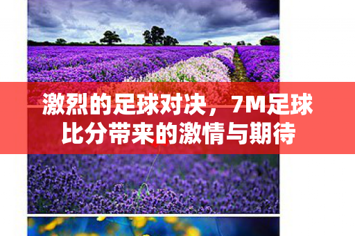 激烈的足球对决，7M足球比分带来的激情与期待