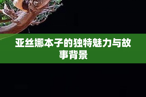 亚丝娜本子的独特魅力与故事背景