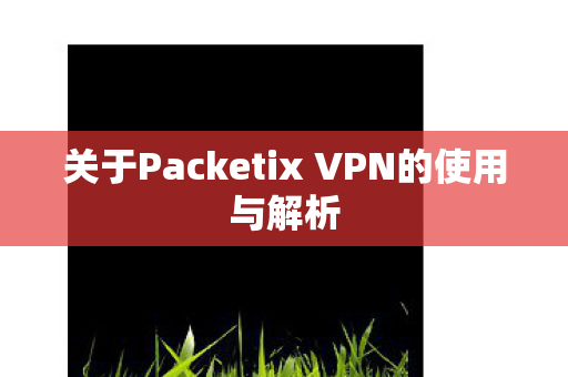 关于Packetix VPN的使用与解析