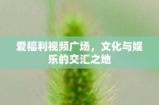 爱福利视频广场，文化与娱乐的交汇之地