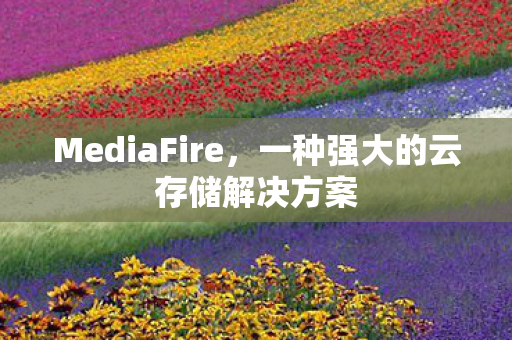 MediaFire，一种强大的云存储解决方案