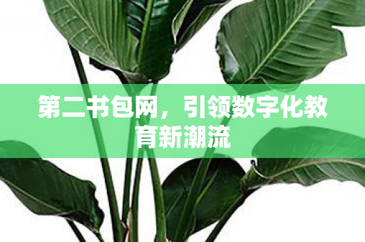 第二书包网，引领数字化教育新潮流