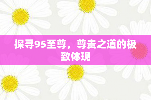探寻95至尊，尊贵之道的极致体现