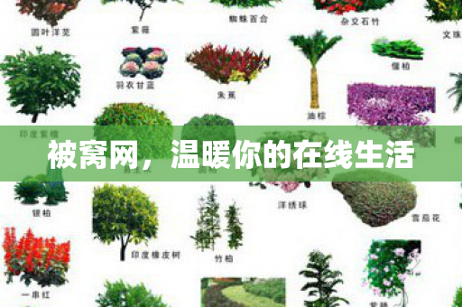 被窝网，温暖你的在线生活