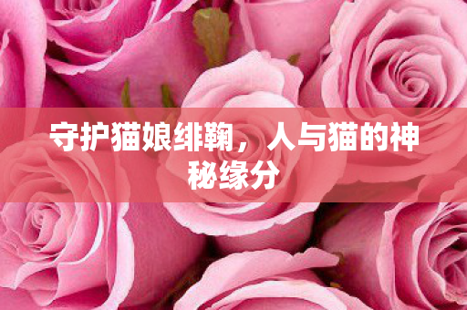 守护猫娘绯鞠，人与猫的神秘缘分