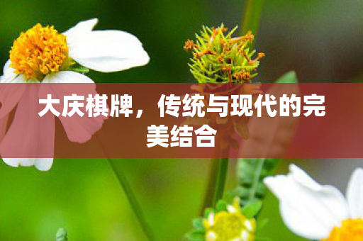 大庆棋牌,传统与现代的完美结合 大庆棋牌,传统与现代的完美结合